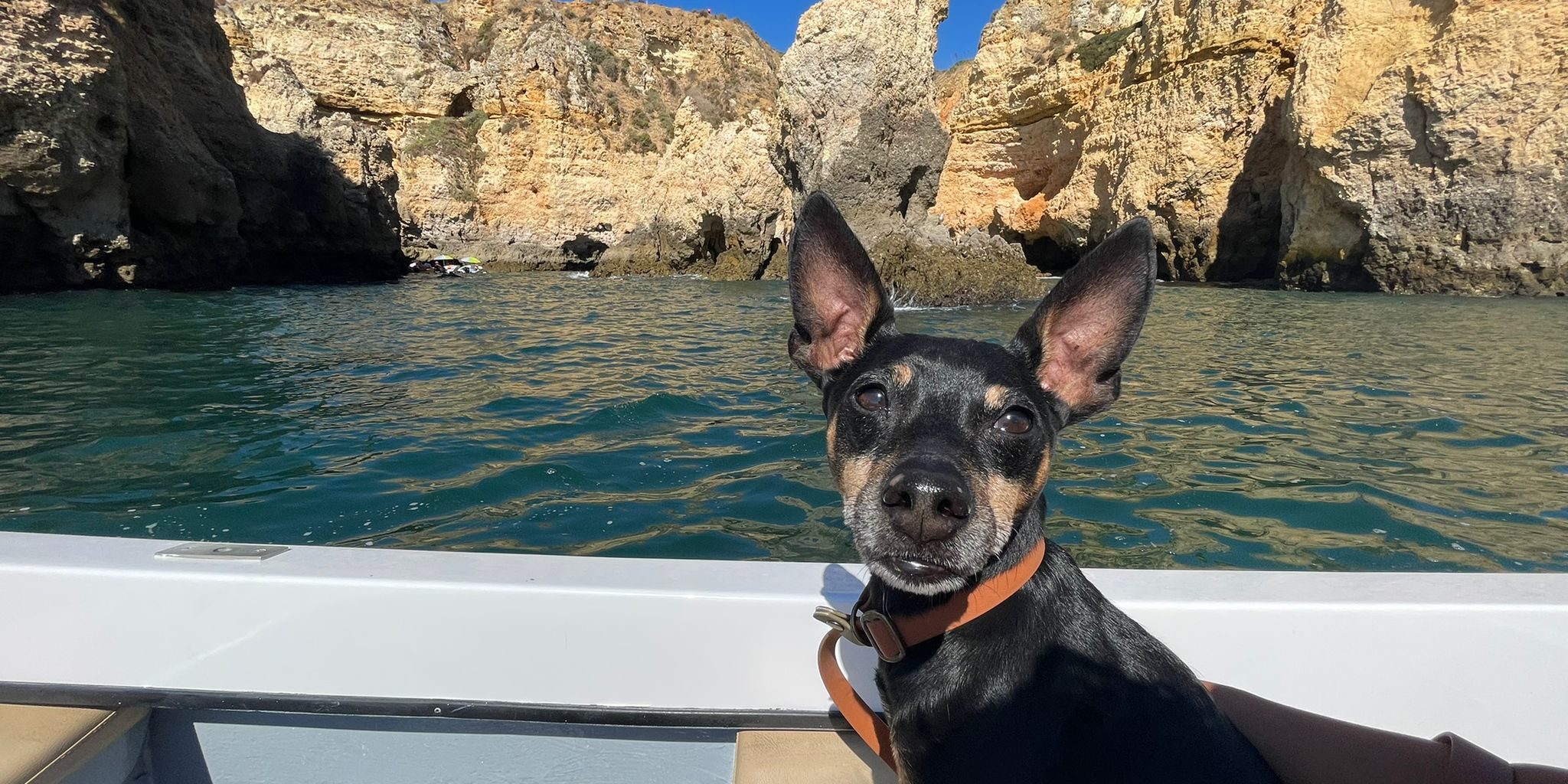 Bootstour mit Hund in Portugal
