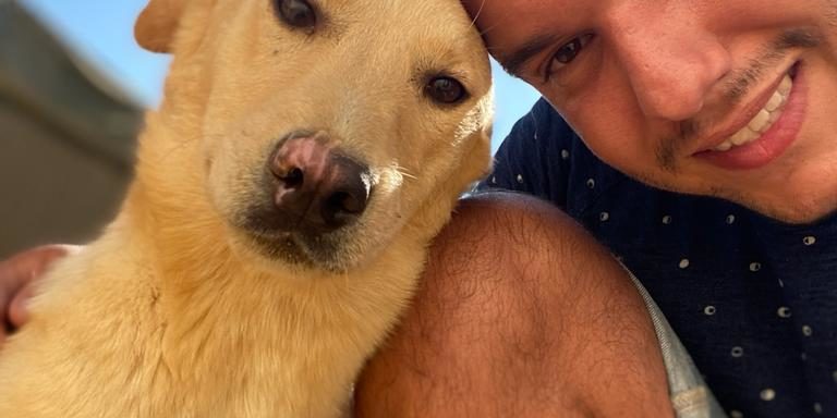 Privates Tierheim in Portugal